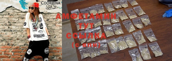 прущие грибы Каменка
